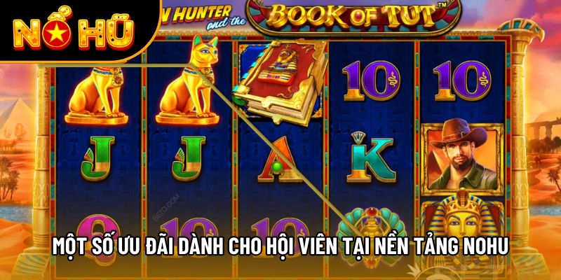 Một số ưu đãi dành cho hội viên tại nền tảng NOHU